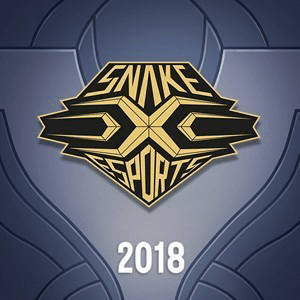 Summoner Icon