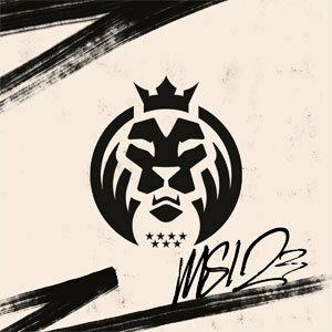 Summoner Icon